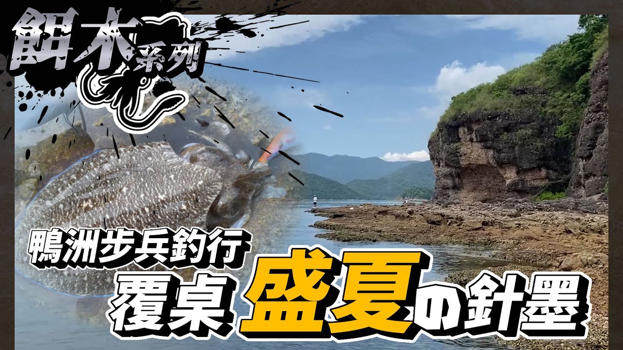 覆桌姣蝦墳場 鴨洲步兵FIT魷 盛夏尋找針墨 | #香港釣魚