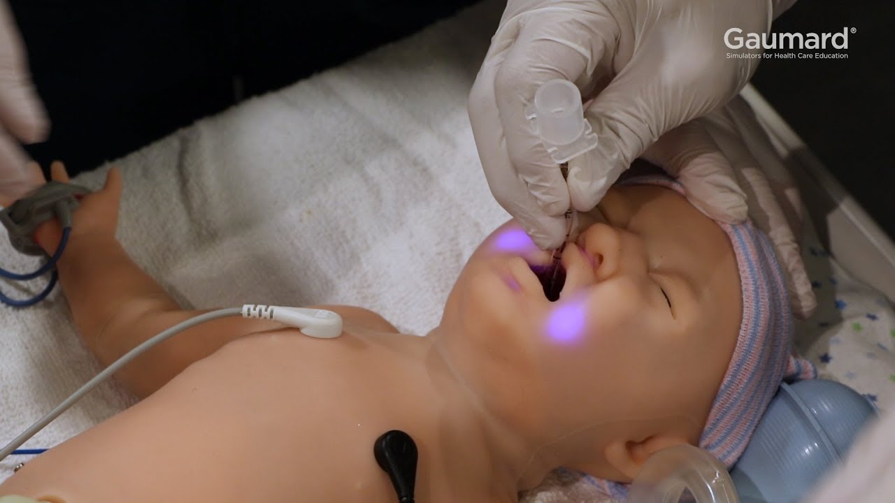 Gaumard® Super Tory® S2220: Airway Features How-To Episode 3/11