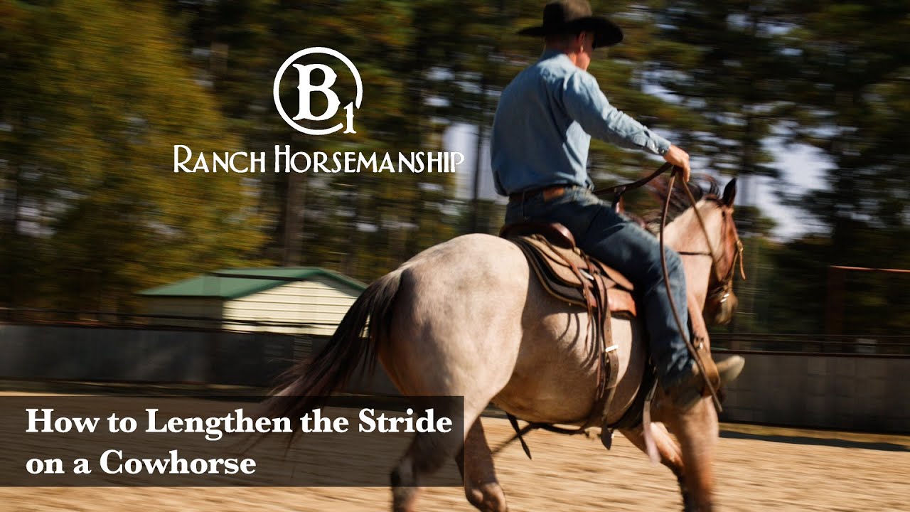 How to Lengthen the Stride on a Cowhorse Preview