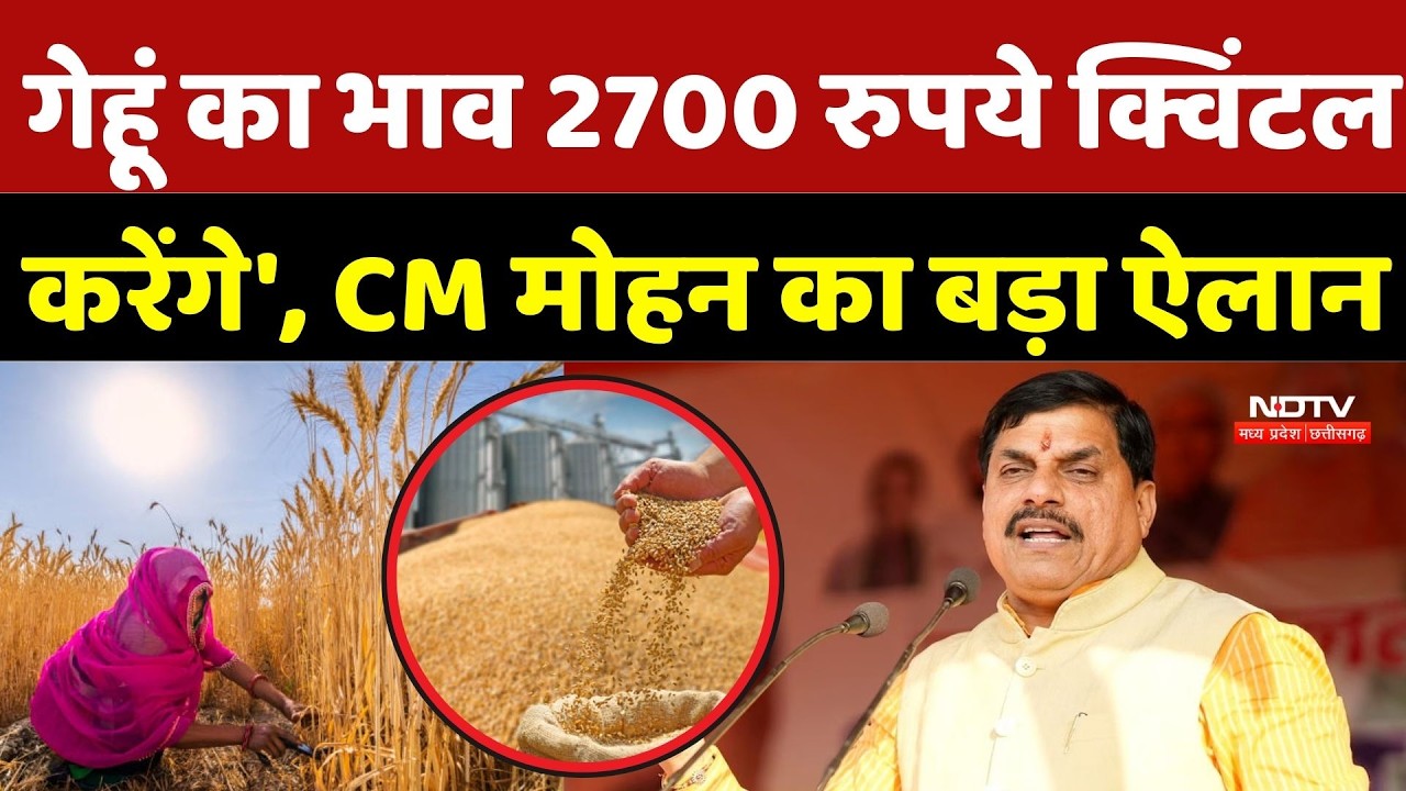 MP Budget Session 2026: 'गेहूं का भाव 2700 रुपये क्विंटल  करेंगे', CM Mohan का बड़ा ऐलान | Breaking