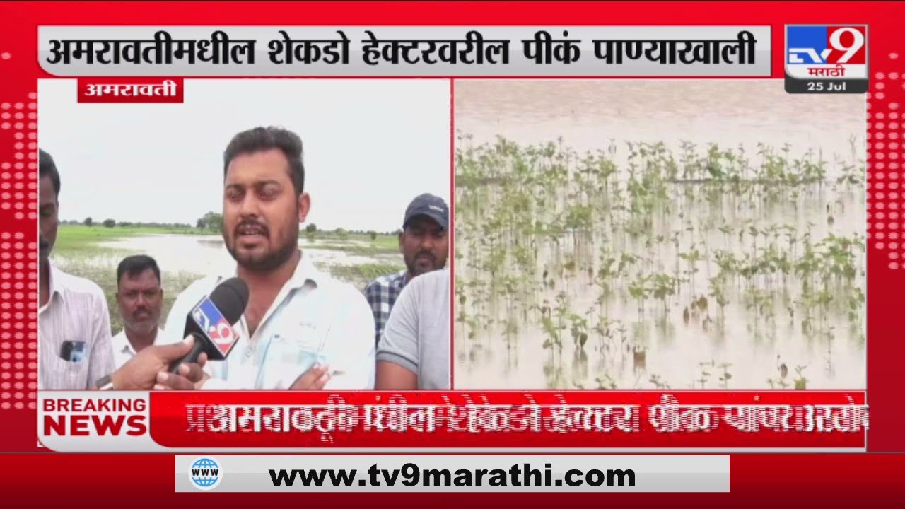 Amravati Farming Loss | अमरावतीमधील शेकडो हेक्टरवरील पीकं पाण्याखाली | TV9 Marathi News