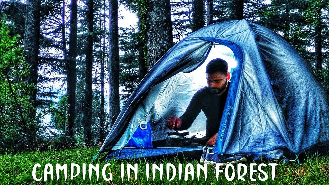 Solo Camping In Indian Forest | Relaxing And Sleep With The Nature Sound | ASMR