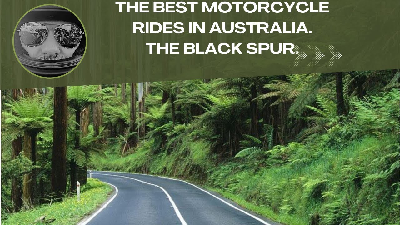 (The Black Spur) Victoria  Motorcycle Road Review. Victorian Road Review Series