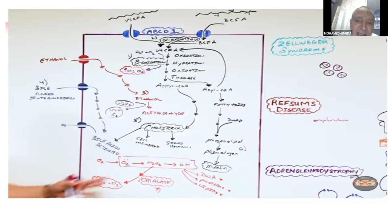 LECTURE 9  106 2 PEROXISOMAL DISORDERS and VLCFA