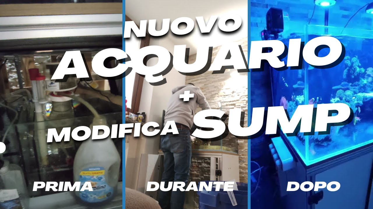 Sostituzione acquario + modifica sump