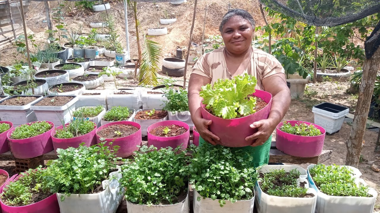 Transformei o meu quintal no jardim de comida fiz adubação no almeirão
