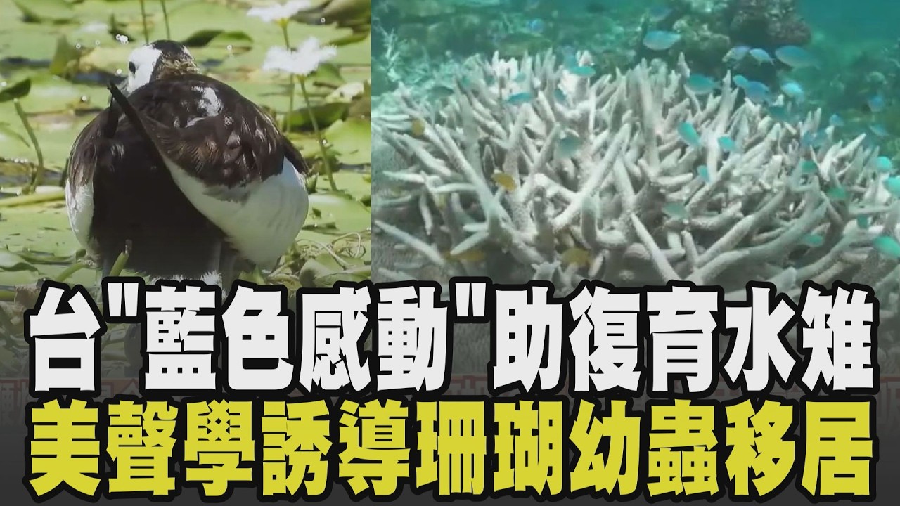 共同守護大自然的美好! 野蓮農虧30萬友善耕作 