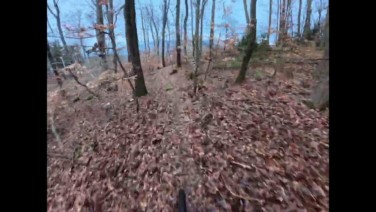 Trailview: Koblenz, Maho Trail