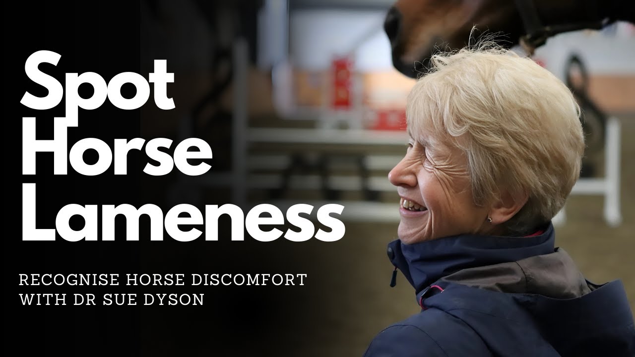 Subtle Signs Your Horse is LAME