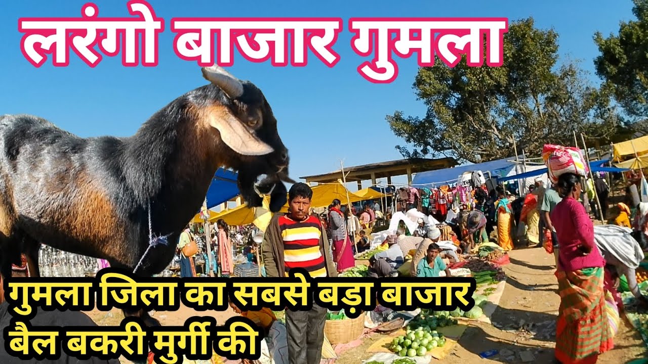 लरंगो बाजार गुमला/Larango bazar/Larango bajar gumla@yogendra desi boy