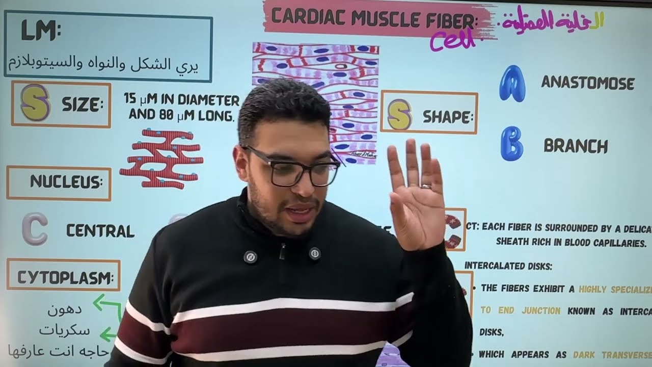CARDIAC MUSCLE || فهما وحفظا ومتعه