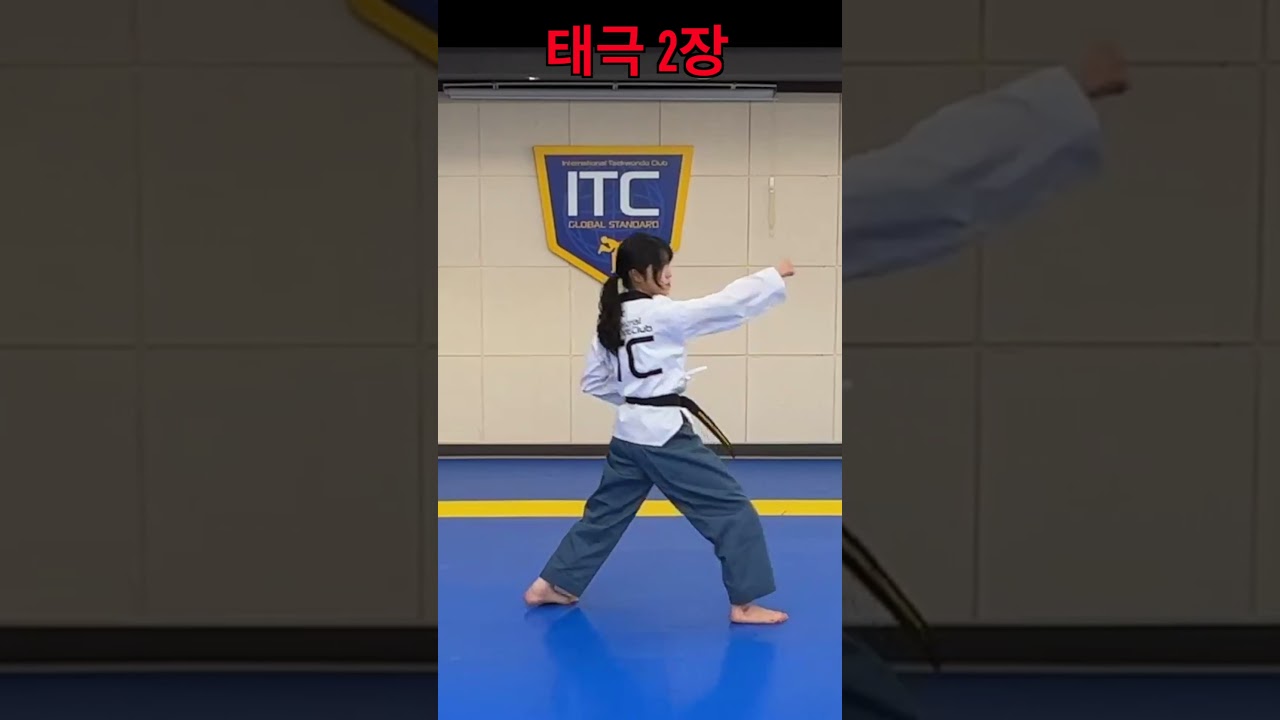 Taegeuk2 | Taegeuk Ee Jang | Poomsae | Taekwondo #shorts