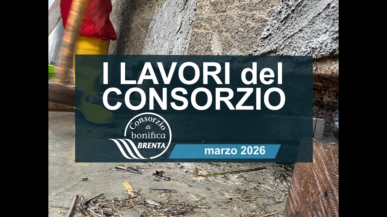 I LAVORI DEL CONSORZIO - MARZO 2026