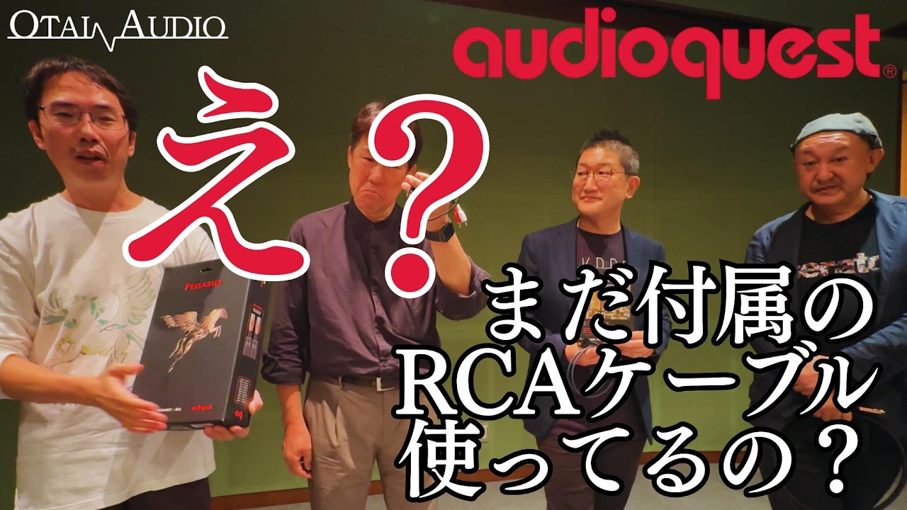 【衝撃的結果だ】audioquestのインターコネクトケーブルを比較してみました【D&M特集第六弾】