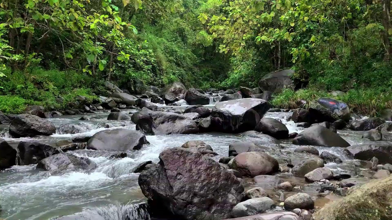 Natural river sound under moonlit forest sky guiding calm breathing into deep sleep mode