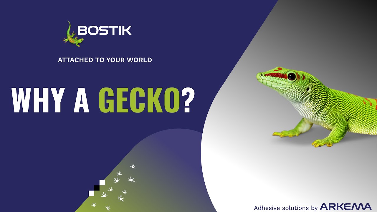 Why the gecko? | Meet us | Bostik