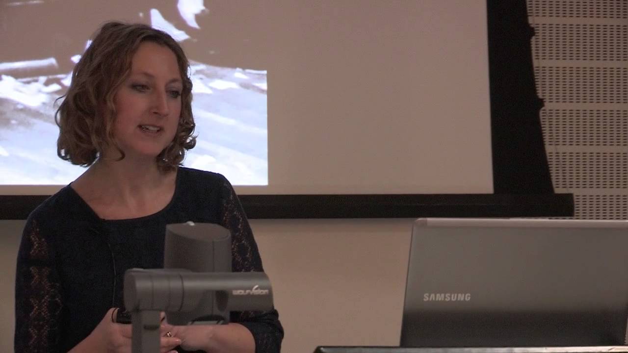 Prof. Si&acirc;n Bayne - The Trouble with Digital Education