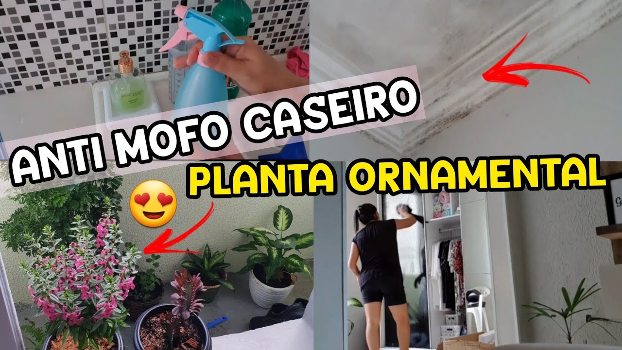 LIMPEI E ORGANIZEI A CASA INTEIRA + ANTI MOFO CASEIRO POR CASA LIMPA