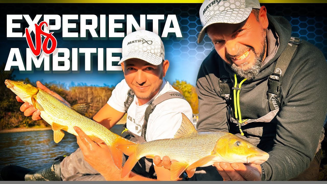 Duelul Legendelor la Feeder – Cine va câștiga? | Special de Craciun 🧑‍🎄🎄