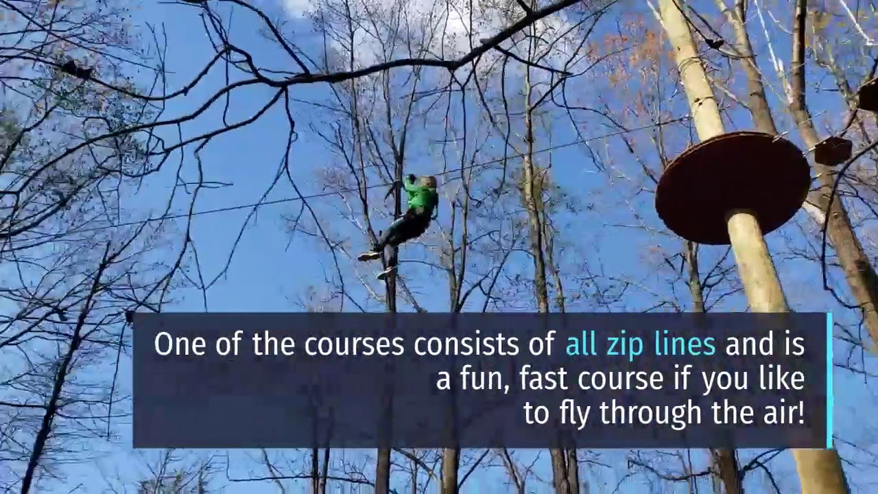TreeTrekkers Frederick Maryland Outdoor Adventure Course