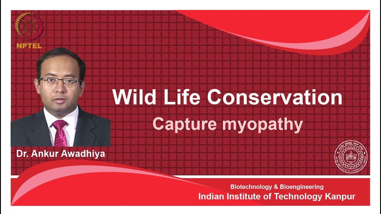 noc18-bt26 Lec 21-Capture myopathy