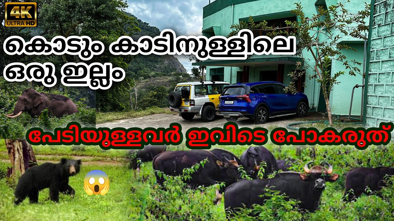 കൊടുംകാടിനുള്ളിലെ ഒരു ഇല്ലം, AMBULLI  ILLAM. Anamalai tiger reserve.Topslip,sloth bear, parambikulam