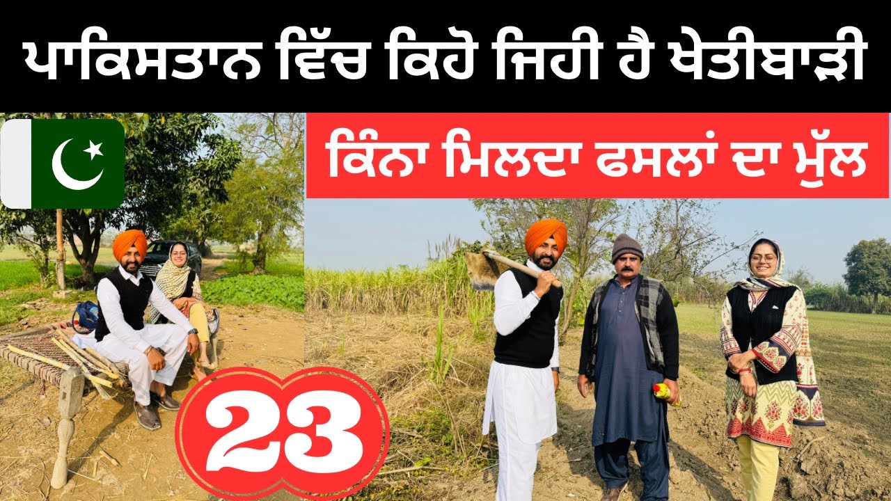 ਪਾਕਿਸਤਾਨ ਵਿੱਚ ਕਿਹੋ ਜਿਹੀ ਖੇਤੀਬਾੜੀ Pakistan Punjab | Punjabi Travel Couple | Ripan Khushi