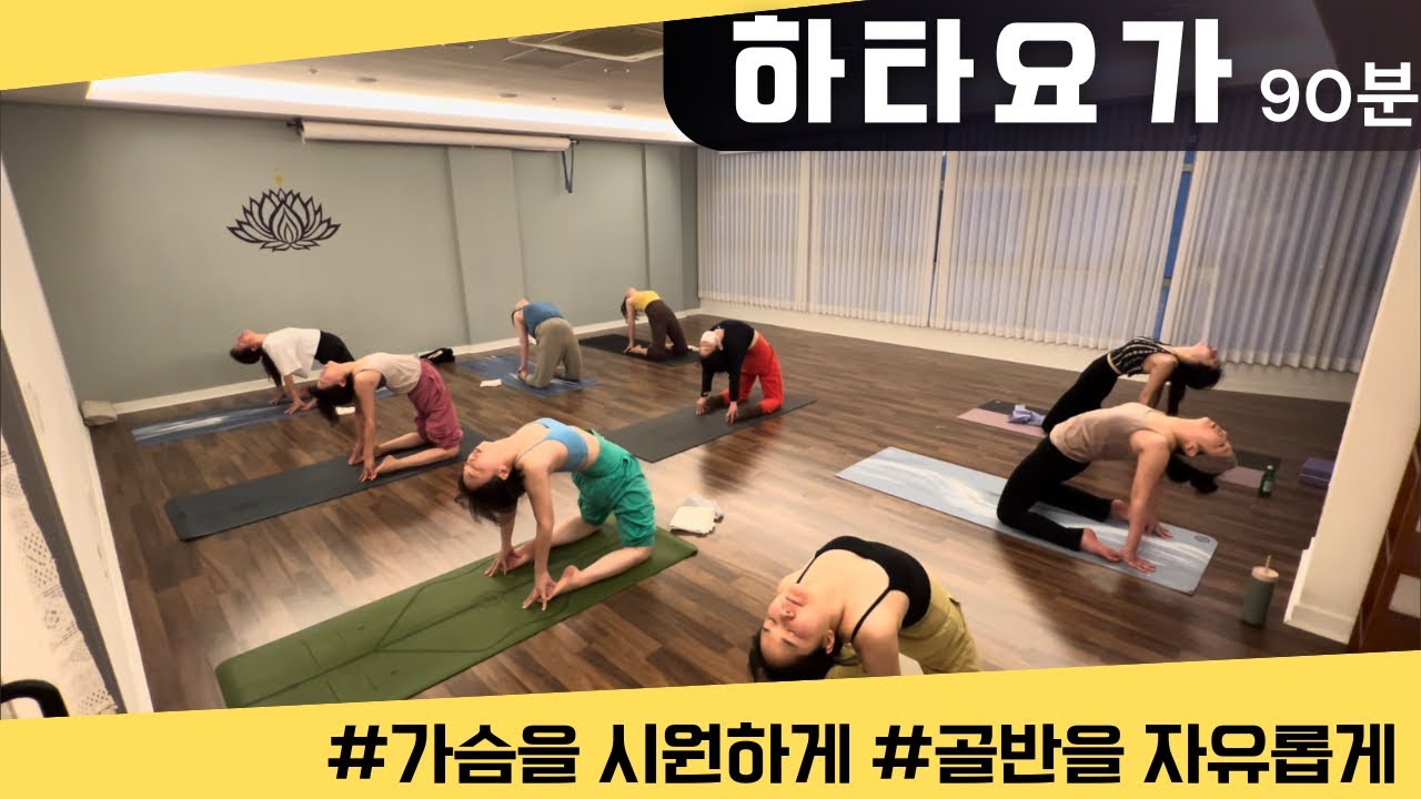 [엔젤요가] 90분 하타요가 올레벨 | 가슴을 시원하게 &bull; 골반을 자유롭게