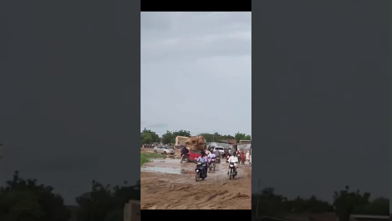 قصتي مع الملك الأفريقي