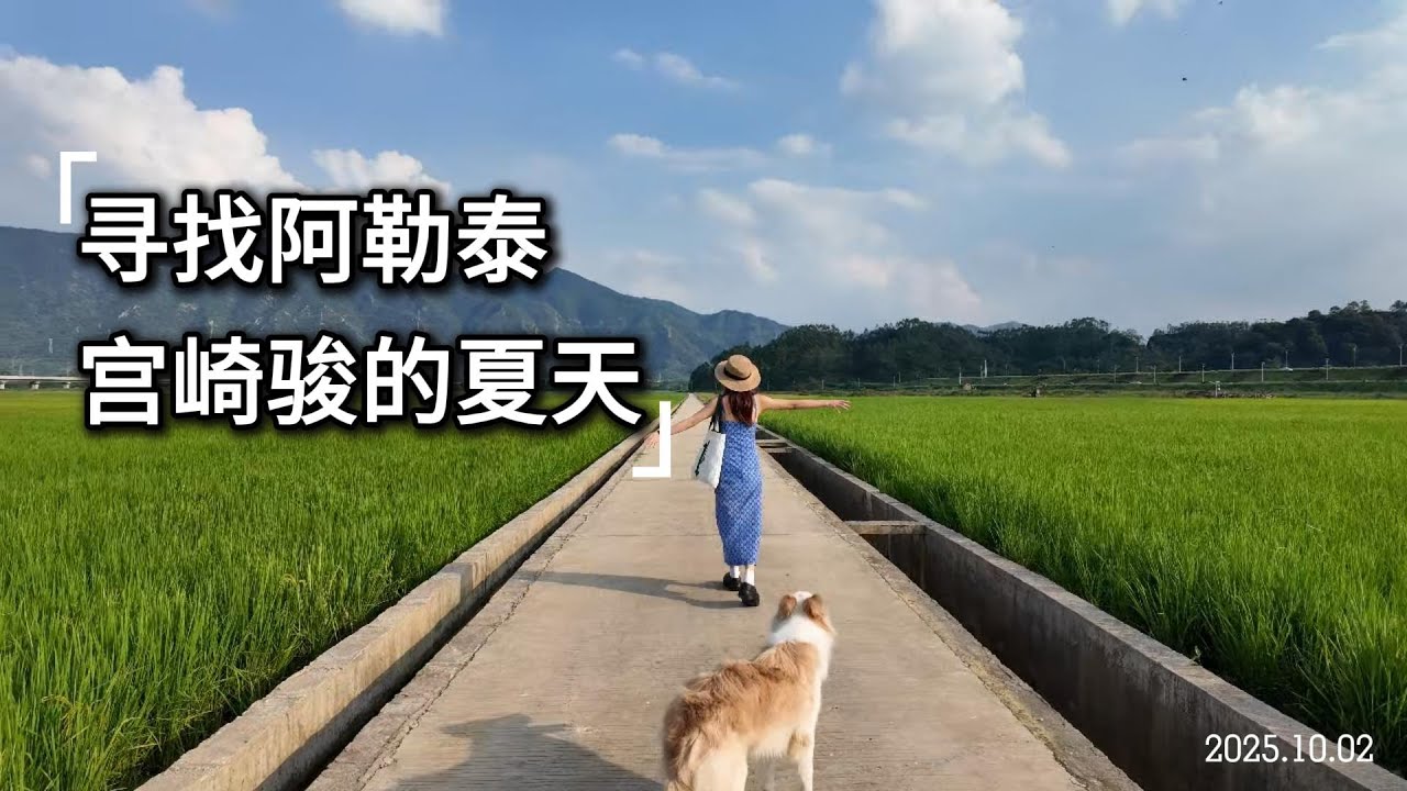 【寻找阿勒泰｜我在清远找到了宫崎骏的夏天】2天1晚自驾旅行，带上狗狗出逃城市