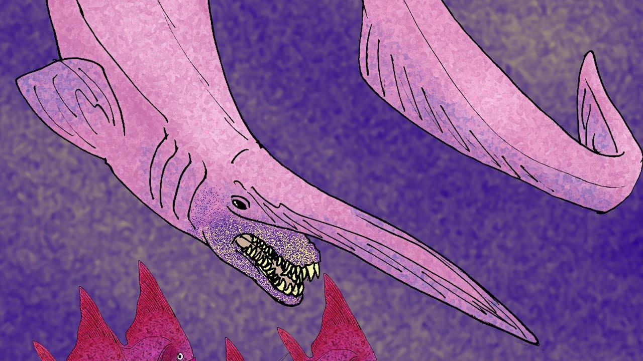 3 Weird Extinct Sharks