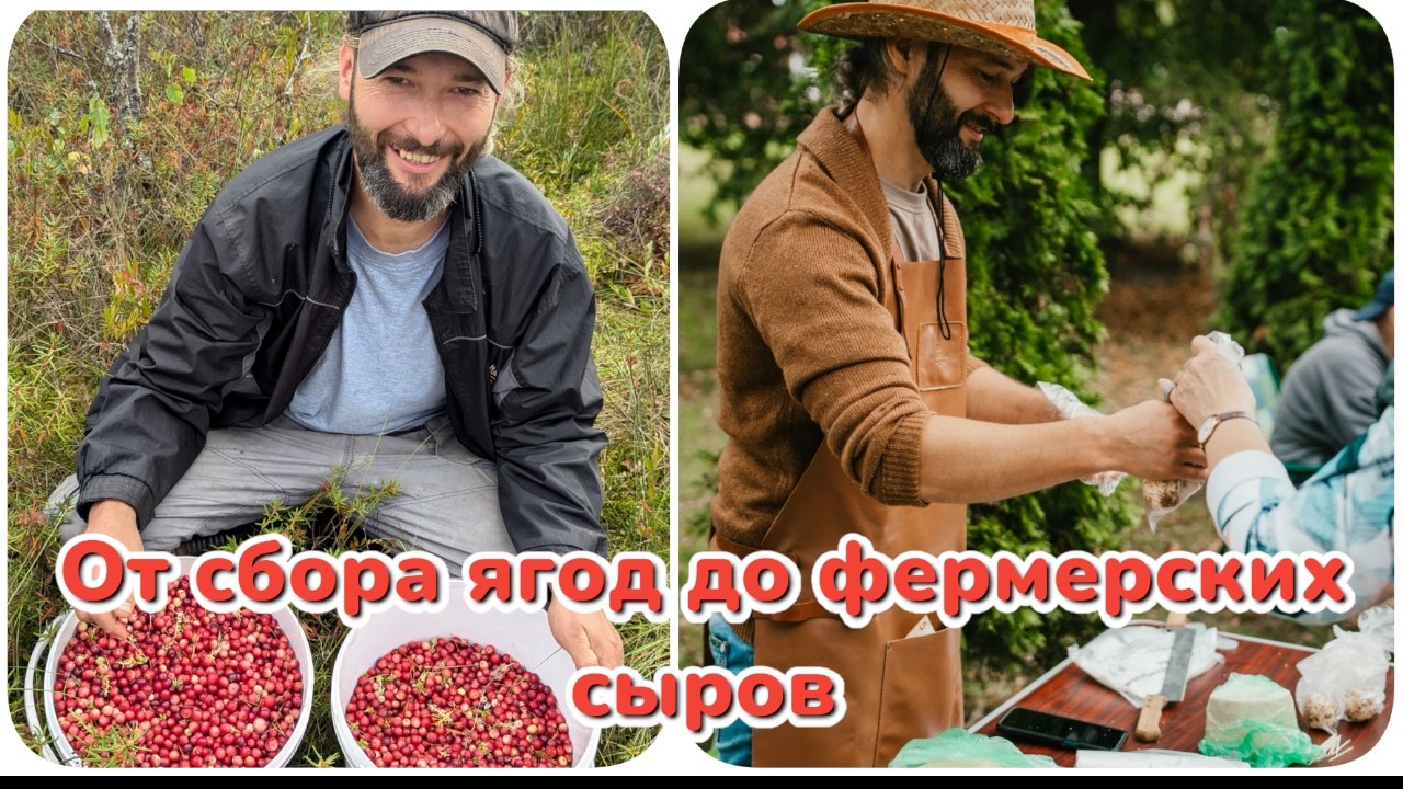 Как зарабатываю в деревне, приготовление фермерских сыров и сбор ягод.