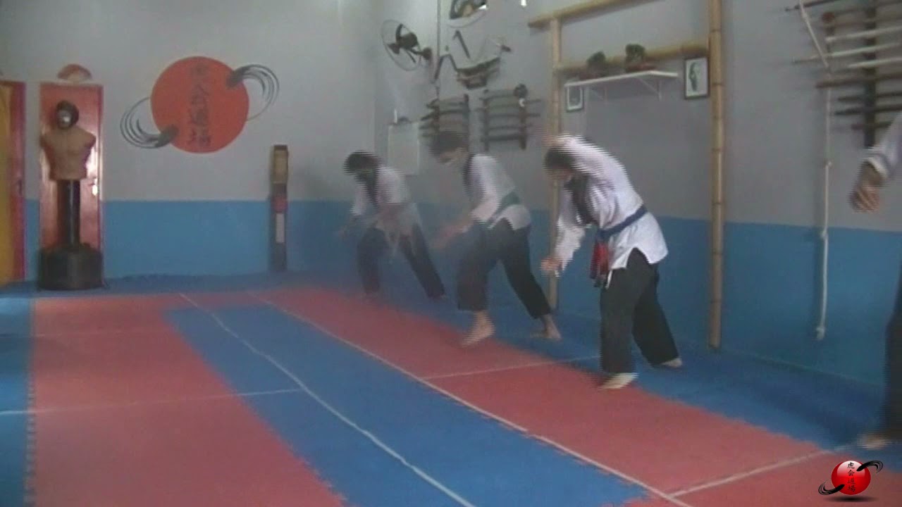 HAPKIDO - Treino de Quedas