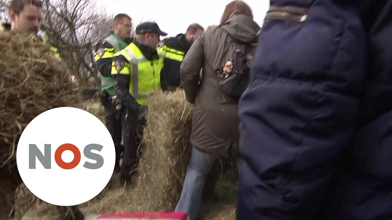 BIJVOEREN: Arrestaties bij Oostvaardersplassen