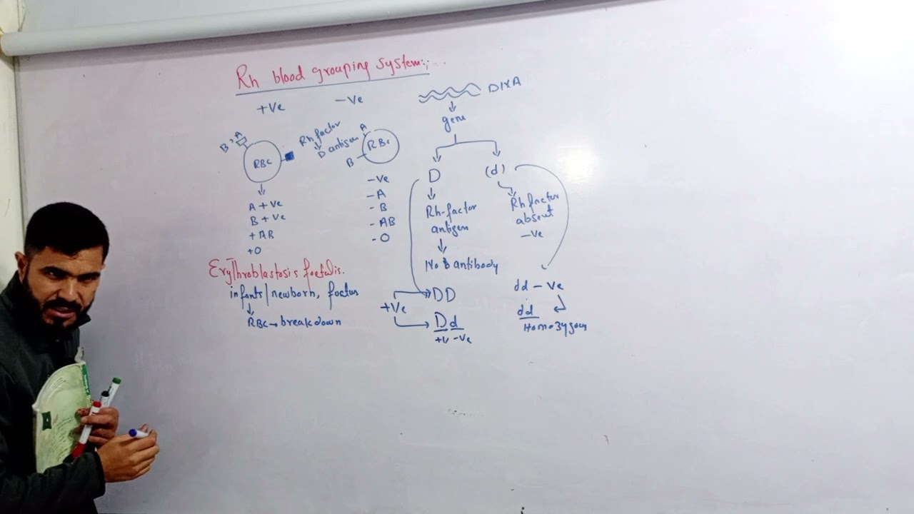 L 8 Rh Blood grouping and erythroblastosis foetalis