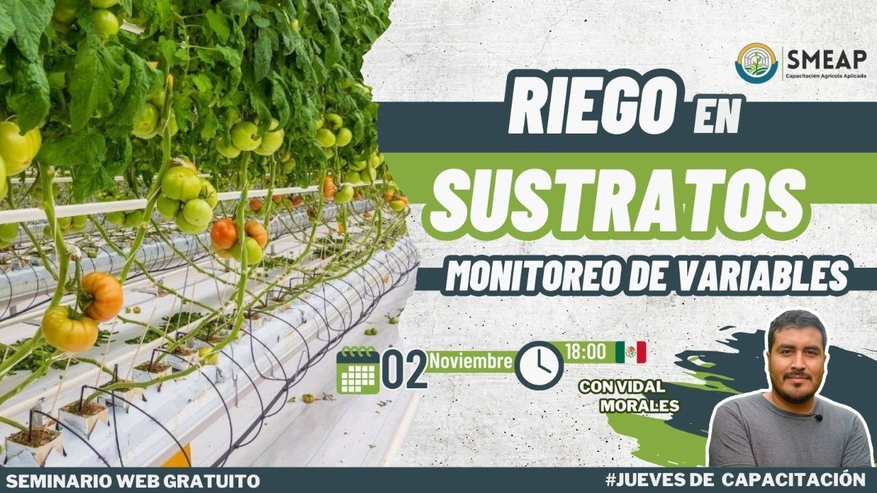 Riego en Hidroponia: Monitoreo de Variables