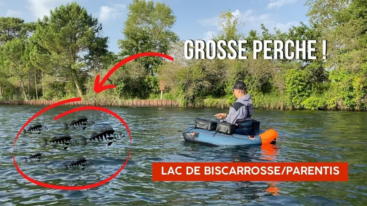 Ma première pêche en float tube dans les Landes sur le lac de Biscarrosse / Parentis !