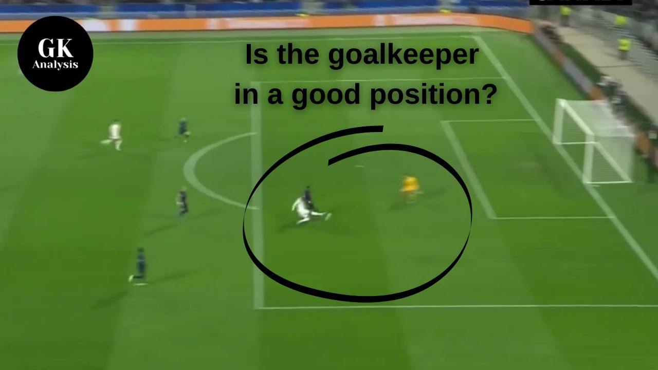 Was the goalkeeper at fault? Goalkeeper Positioning Analysis