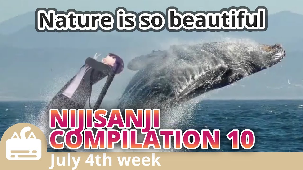 I am whale (Nijisanji Compilation 10) [ENG SUB]