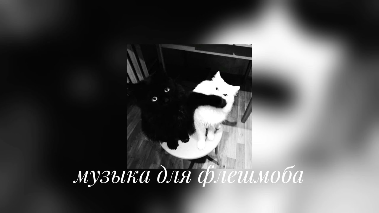 Музыка для флешмоба #11