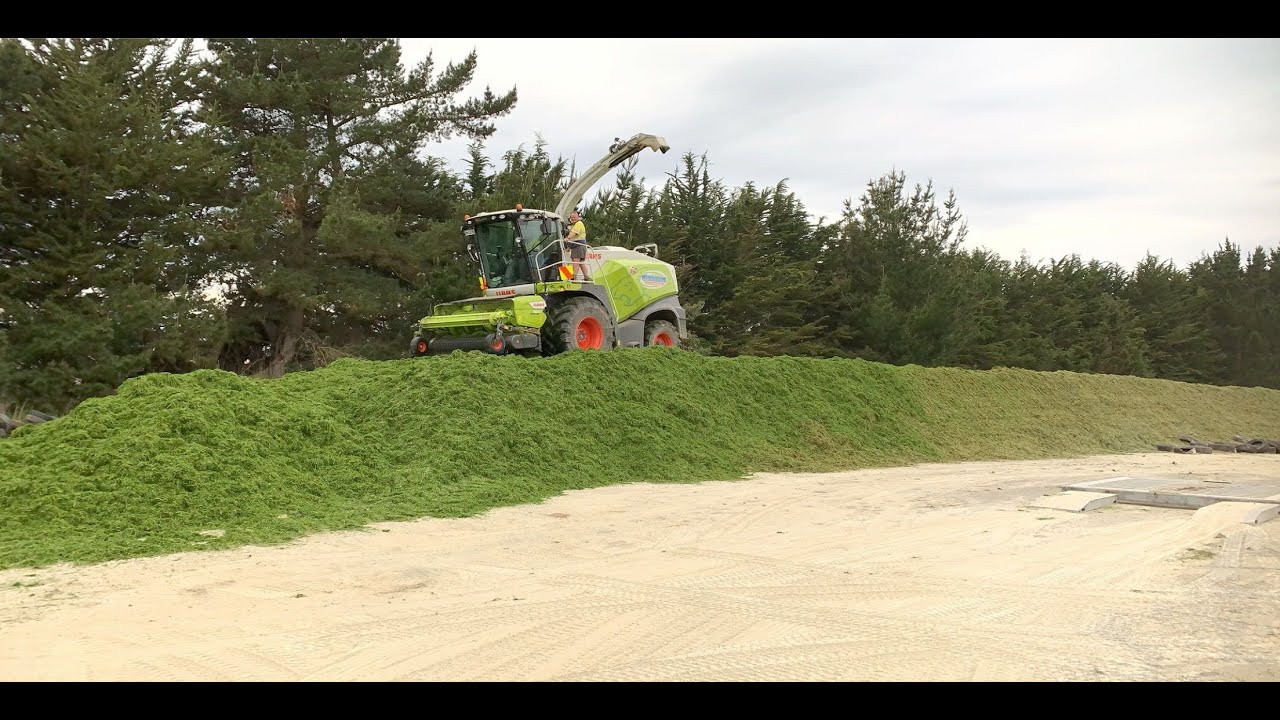 Working in New Zealand 19/20 silage season