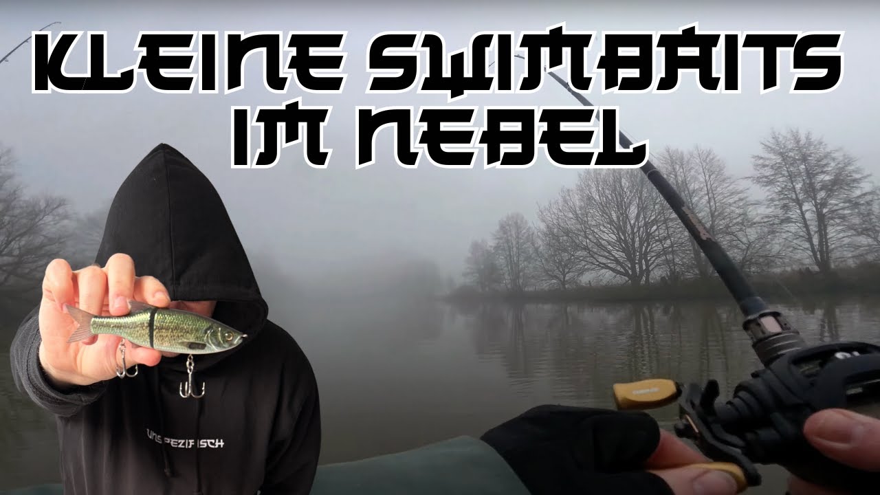 Harte Einschläge auf Swimbaits - Livebisse trotz fehlender Sicht