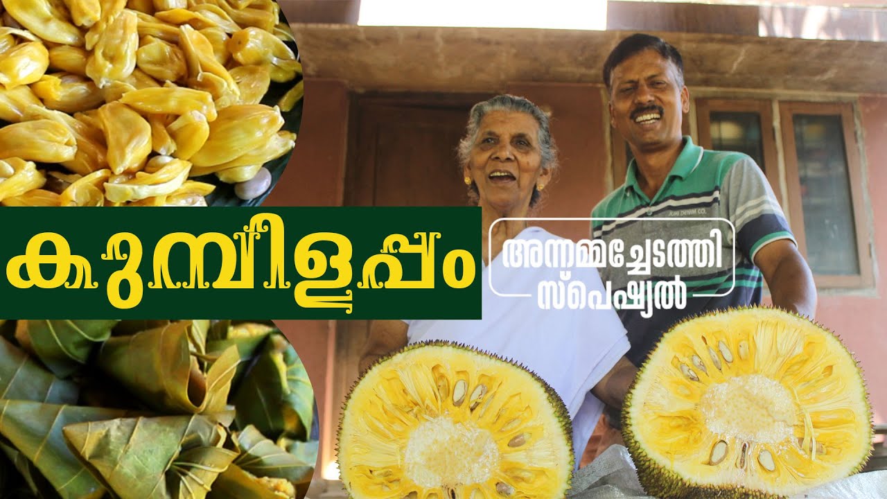 കുമ്പിളപ്പം അഥവാ പൂച്ചയപ്പം അതുമല്ലെങ്കിൽ ചക്കയട | Chakkayada Recipe | ANNAMMACHEDATHI SPECIAL