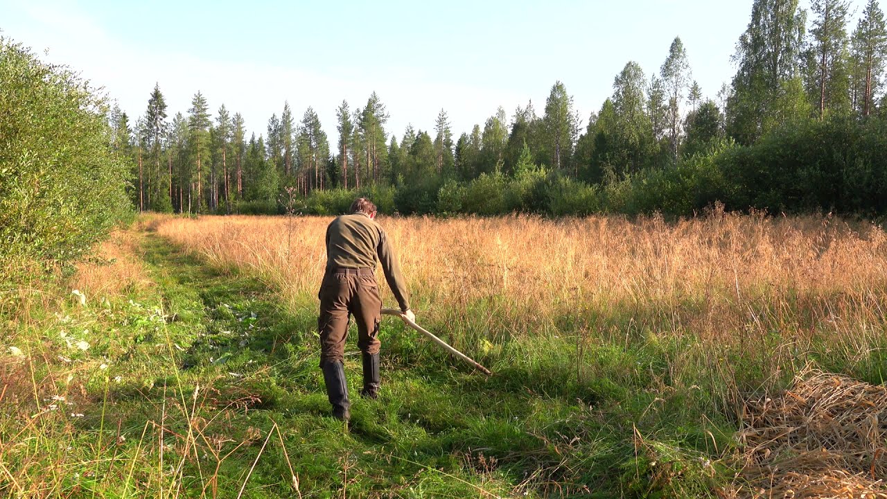 Perinteist&auml; hein&auml;ntekoa. Niitt&auml;misest&auml; seiv&auml;stykseen.