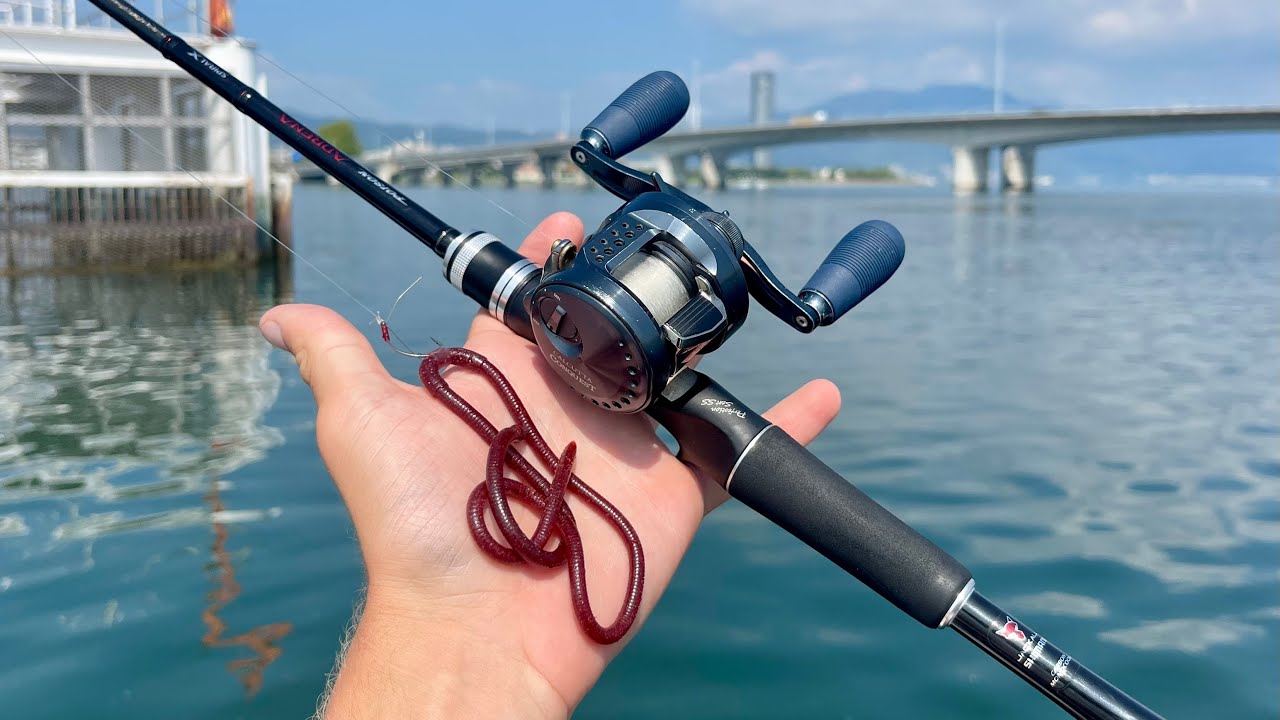 The Reality Of Fishing In Japan
