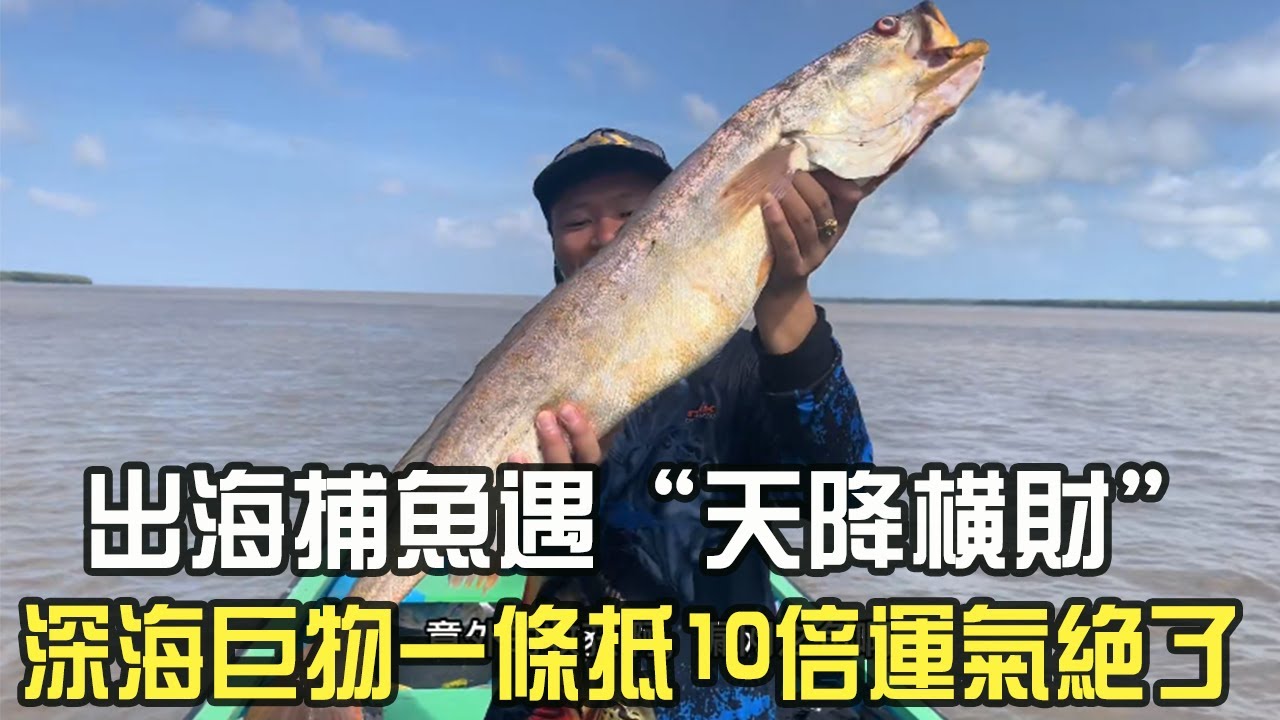 出海捕魚遇“天降橫財”，深海巨物壹條抵10倍，這運氣絕了#阿牛愛捕魚 #趕海 #熱門 #蘇裏南