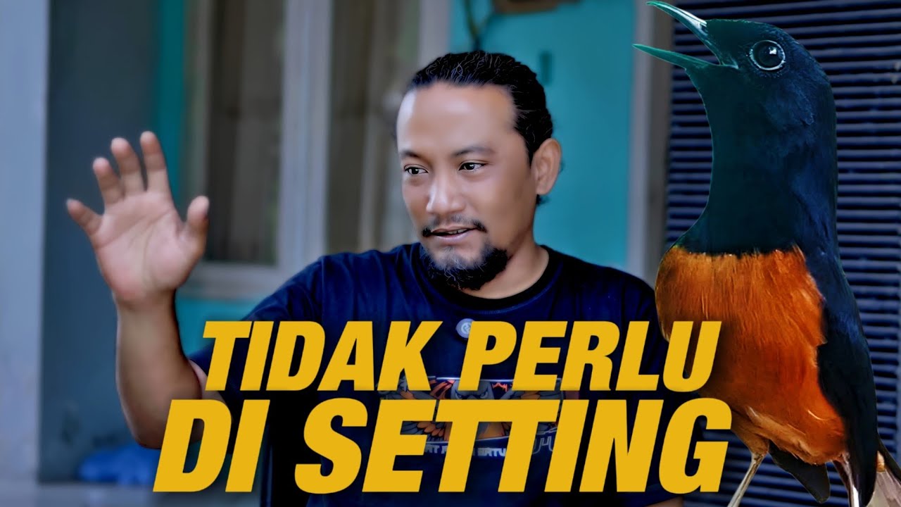 KARENA AWALNYA SEPERTI ITU‼️TIDAK PERLU MERUBAH SETTINGAN NYA 