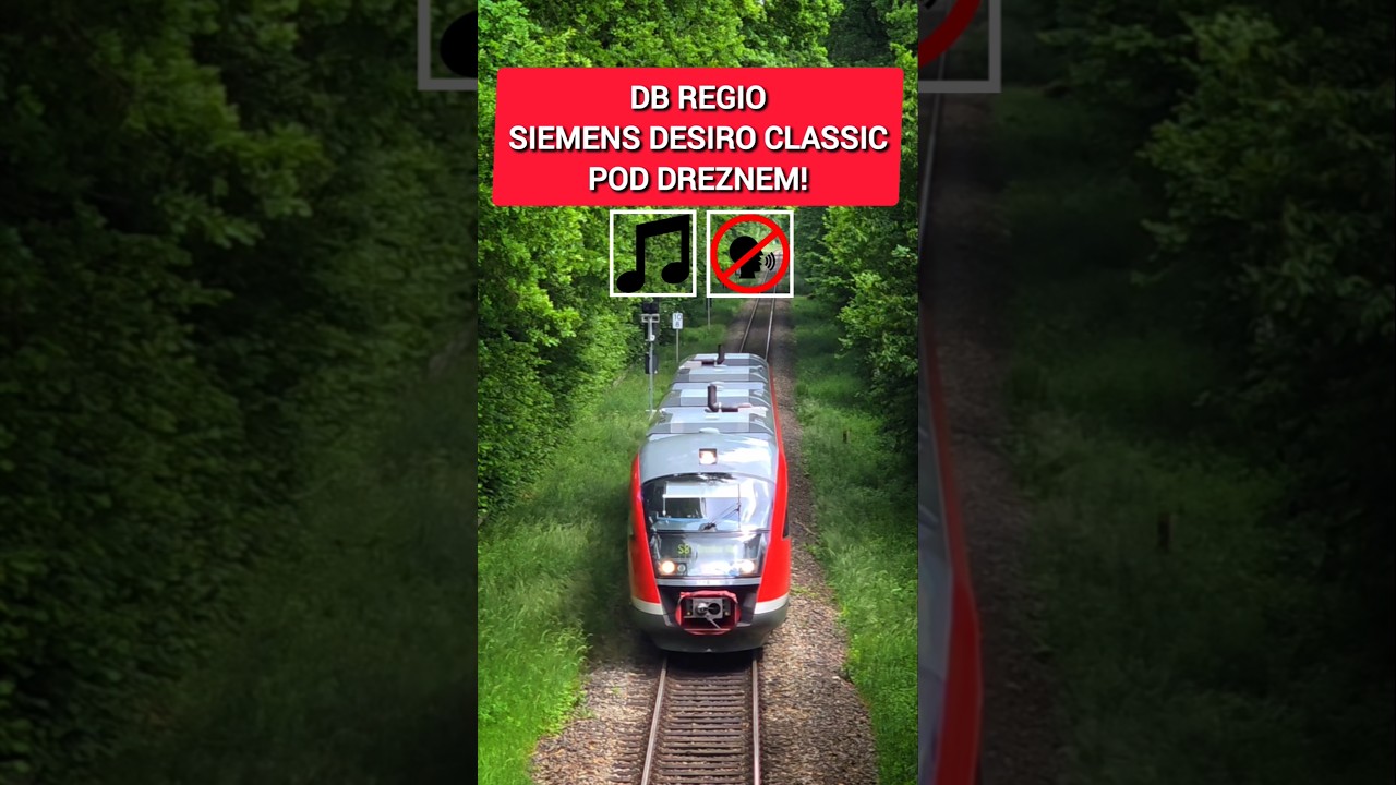 SIEMENS DESIRO CLASSIC 642 005 DB REGIO MKNIE PRZEZ LAS POD DREZNEM!