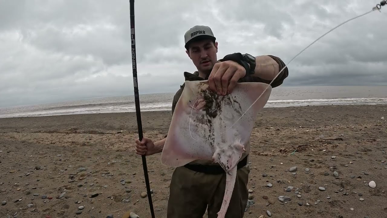 Brilliant nights fishing the holderness coast in may -Big smooth hound-