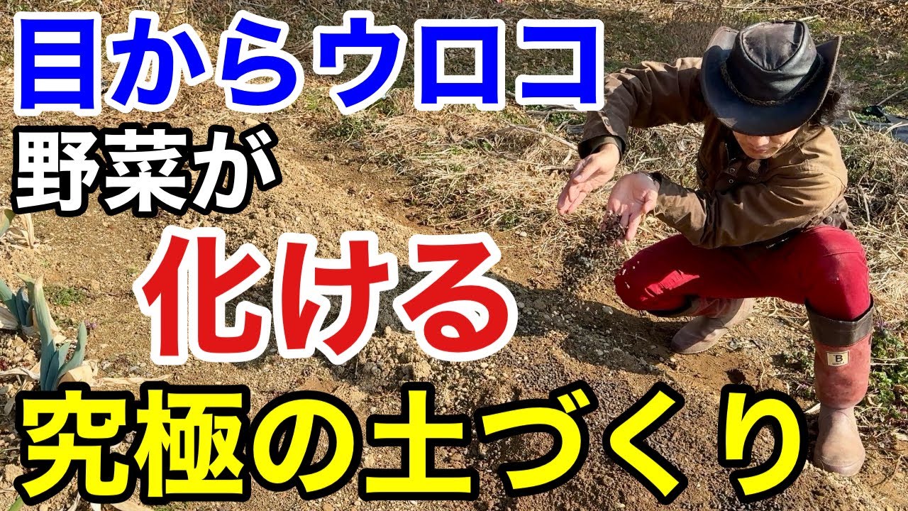 【信じられない美味さ】たったこれだけで畑の野菜が極上に化ます　　　　【大成農材】【超微生物】【極肥料】